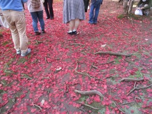 平林寺②